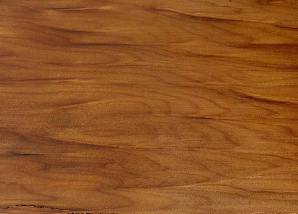 A10 - Kauri