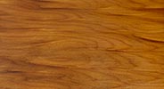 A10 - kauri 贝壳杉
