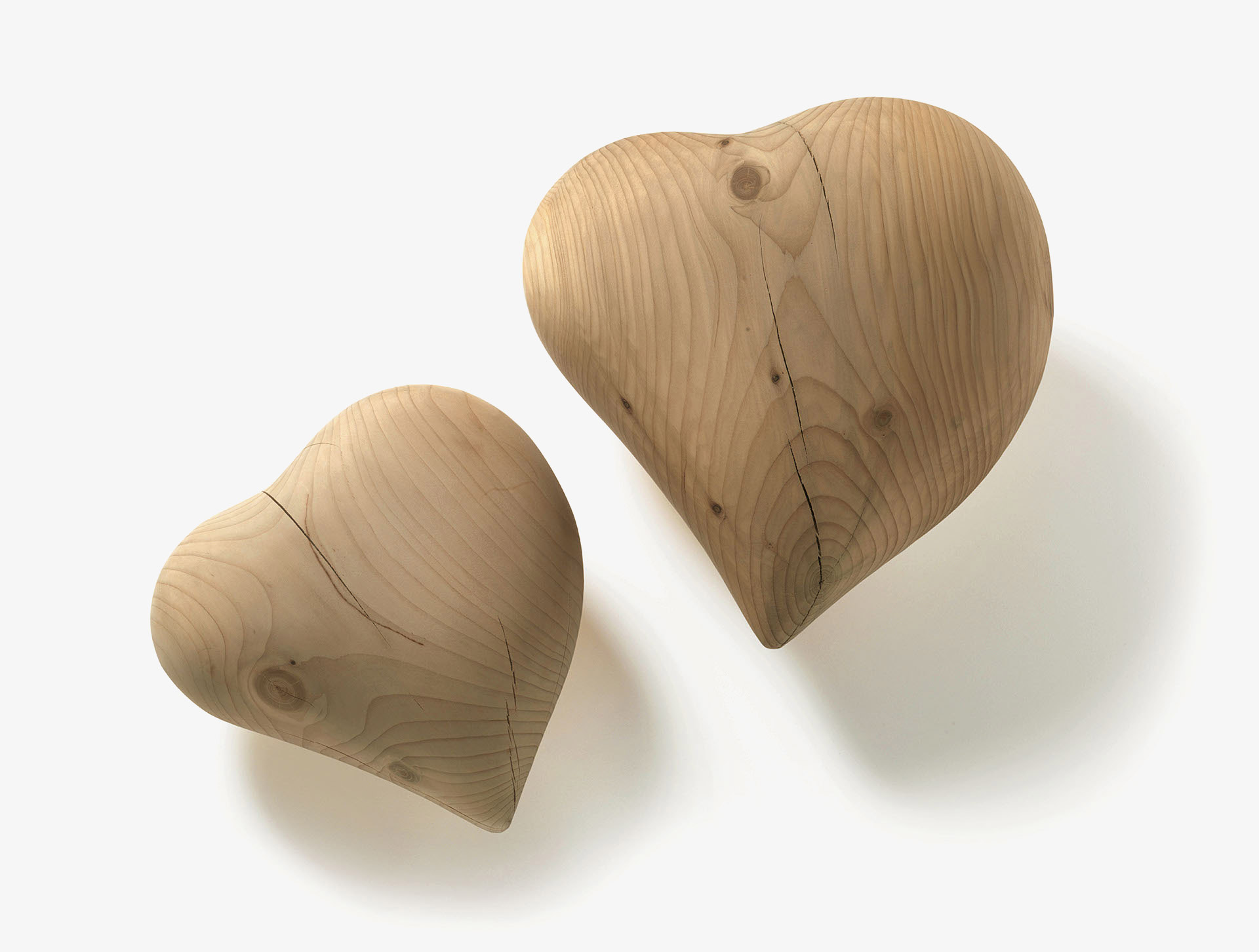 CUORE Gallery 2