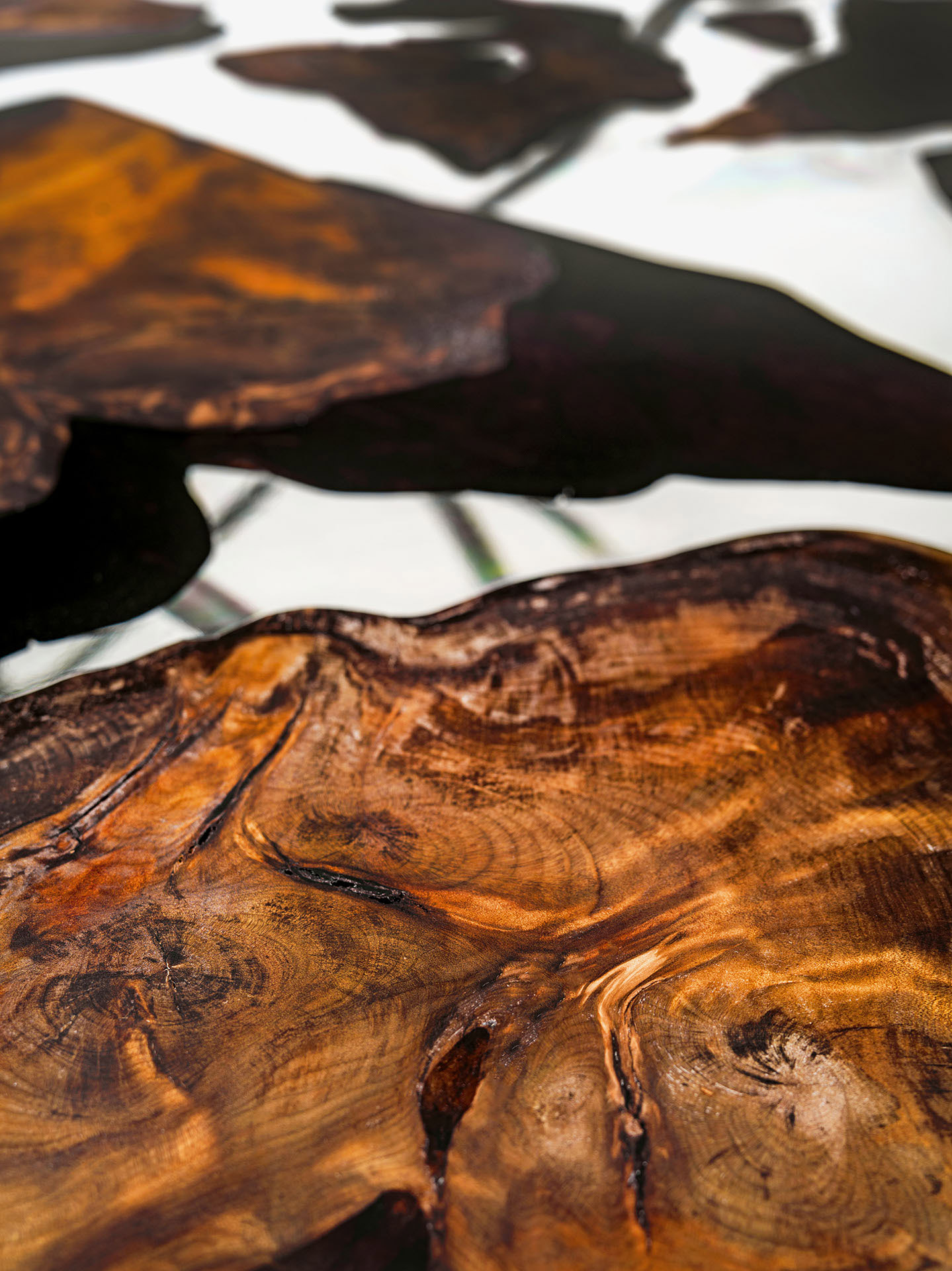 KAURI EARTH SQUARE Gallery 1