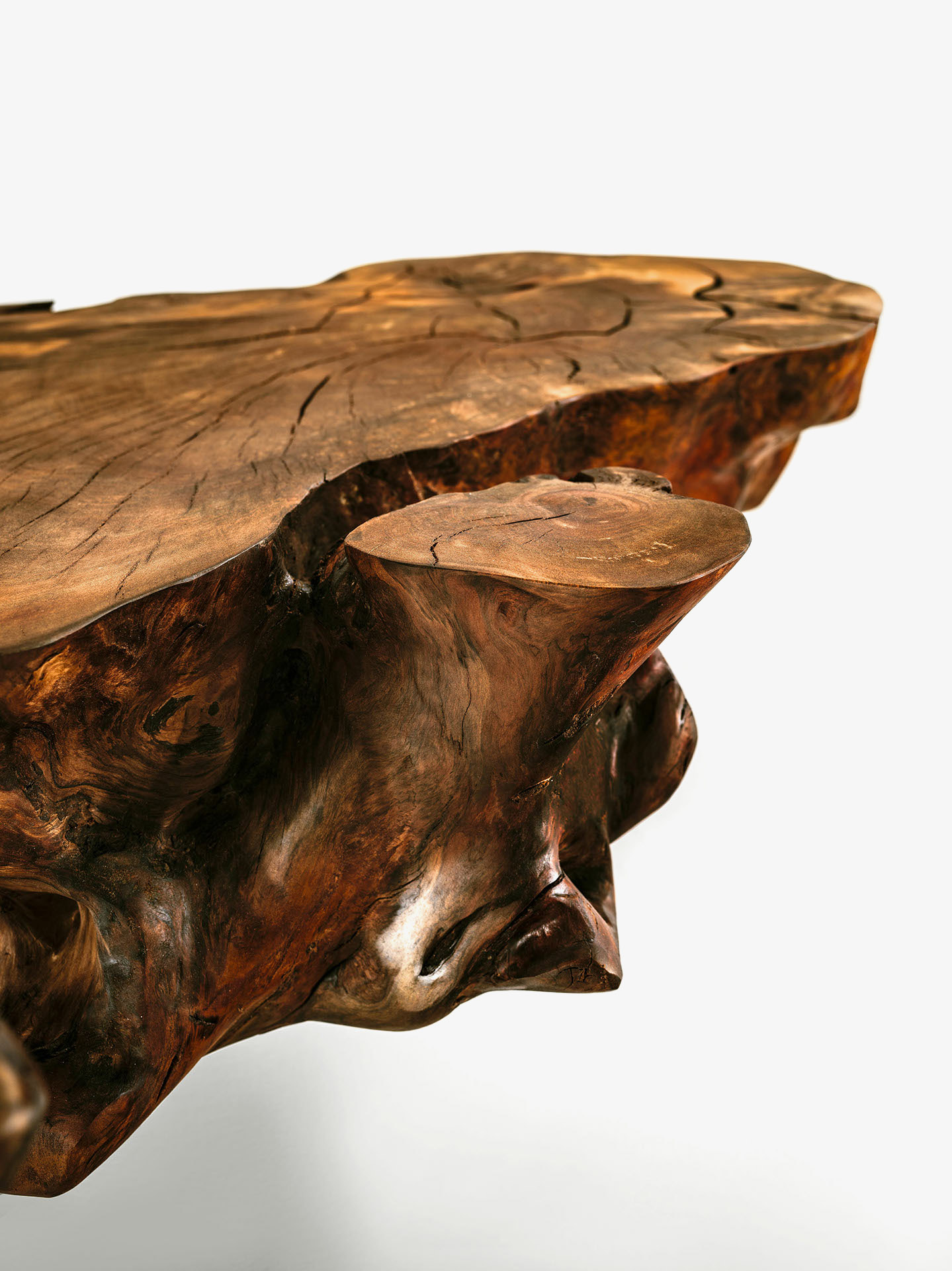 KAURI STUMP Gallery 1