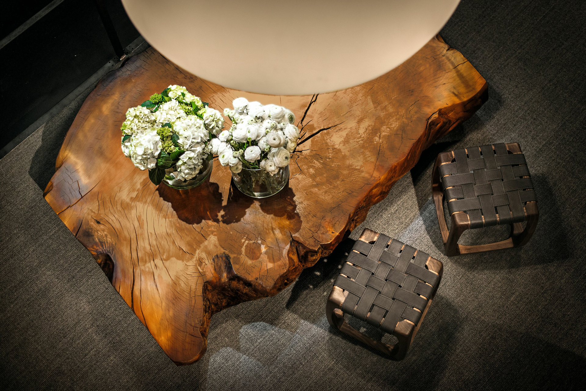 KAURI STUMP Gallery 2