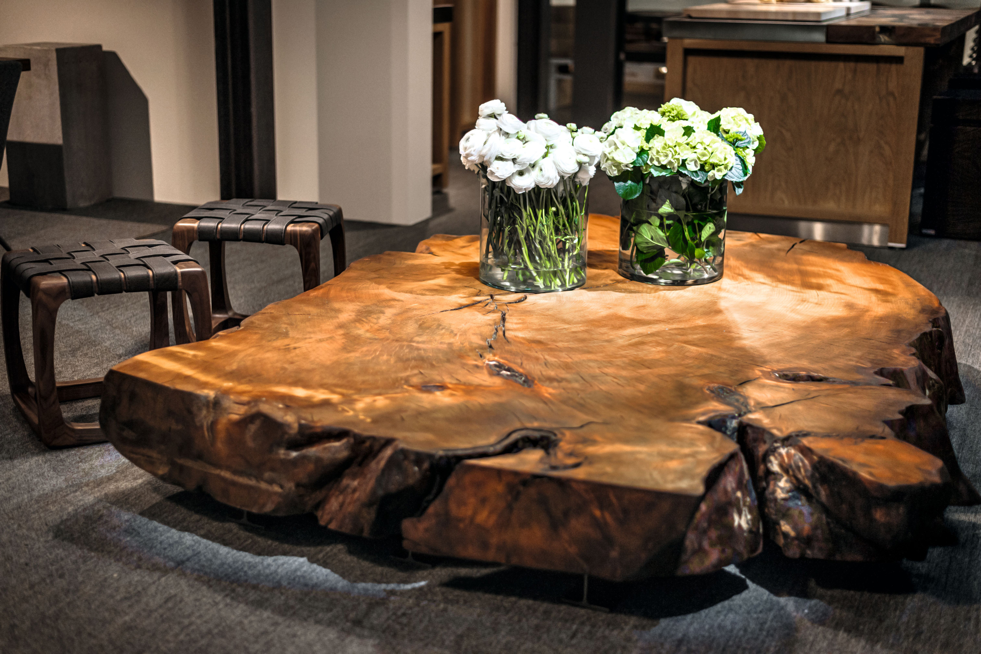 KAURI STUMP Gallery 3
