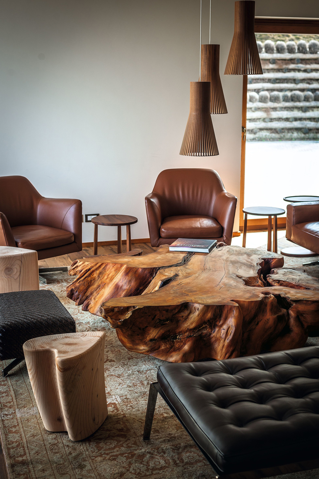 KAURI STUMP Gallery 5
