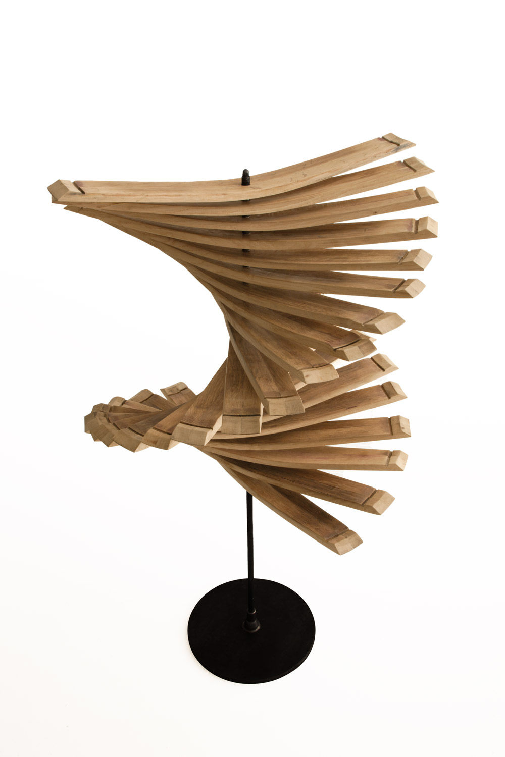 SPIROS  Gallery 2