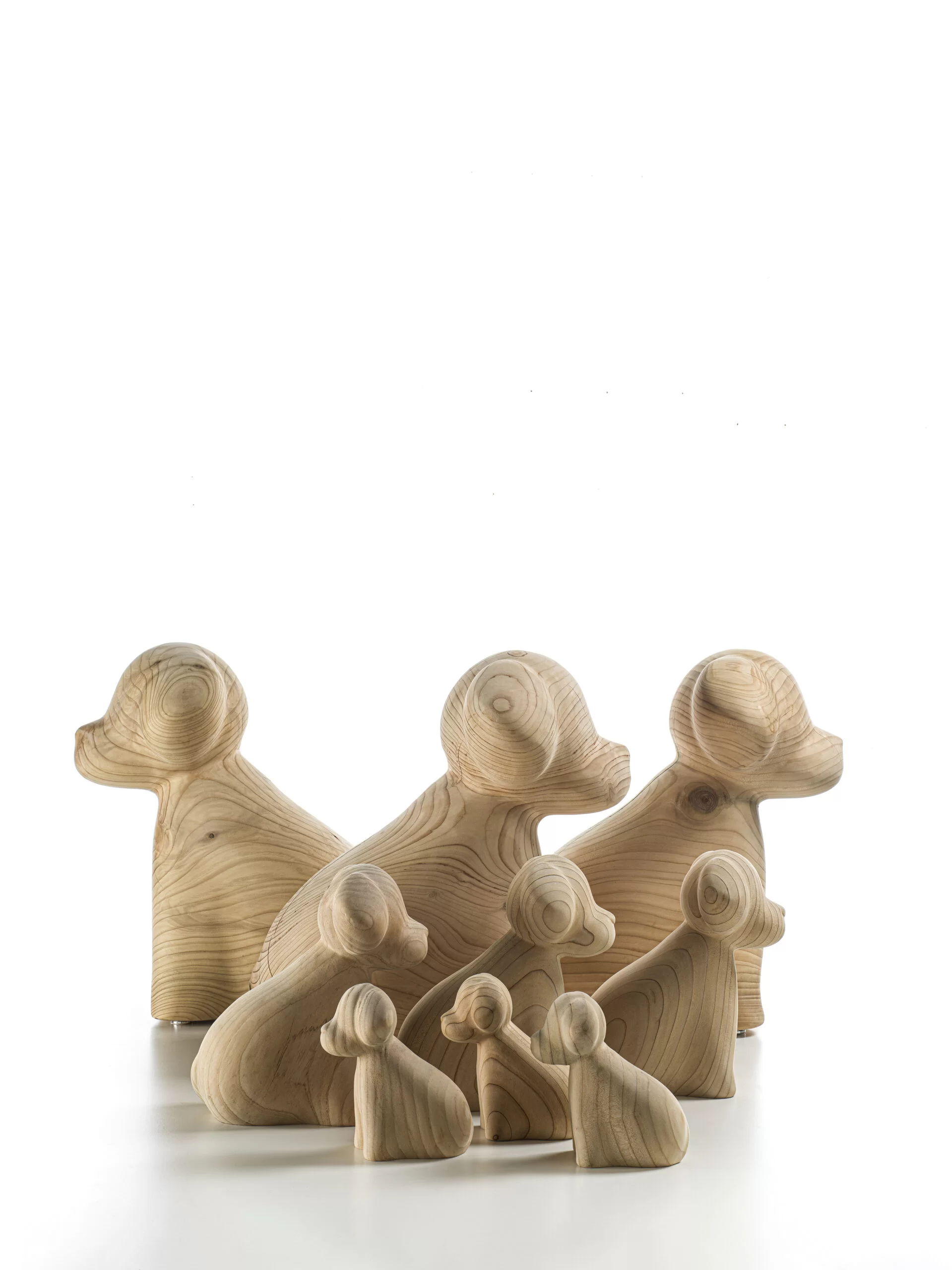 WAN Gallery 5